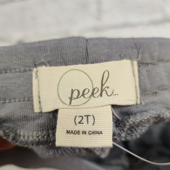 Peek grey pink velour side stripe jogger sweatpants star accents toddler sz 2T - Picture 4 of 5